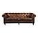 Birmingham Sofa Cappuccino Brown Leather by Moe's Home Collection
