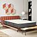 Majestic 12 in. Pocket Coil Hybrid Mattress by Primo