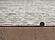Peyton Ivory Beige Delaney Area Rug by KAS Rugs