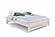 Basic Eco Beige Platform Bed - Beech Wood with Hand-Rubbed Oil Finish by Comfort Pure