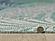 Provo Aqua Palms Area Rug by KAS Rugs