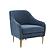 Serena Blue Velvet Accent Chair by TOV Furniture