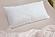 MyLatex 100% Natural Latex & Natural Cotton Pillow by Sleep & Beyond