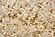 myWoolly 100% Natural Wool & Latex Filled Mattress Topper by Sleep & Beyond