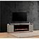 Lianna Fireplace TV Console w/Logs Insert - Silver by Smart Furniture