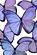 SF1224 Floating Tempered Glass with Foil (40x60) by Classy Art