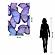 SF1224 Floating Tempered Glass with Foil (40x60) by Classy Art