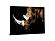 SF1226 Floating Tempered Glass with Foil (40x60) by Classy Art
