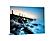SF1313 Tempered Glass plus Foil (40x60) by Classy Art