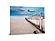 SF1314 Tempered Glass plus Foil (40x60) by Classy Art