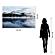 SF1316 Tempered Glass plus Foil (40x60) by Classy Art