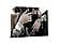 SF1320 Tempered Glass plus Foil (40x60) by Classy Art