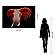 SF1331 Tempered Glass plus Foil (40x60) by Classy Art