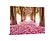 SF1343 Tempered Glass plus Foil (40x60) by Classy Art