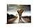 SF1349 Tempered Glass plus Foil (40x60) by Classy Art