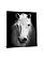 SF1375 Temp Glass w/Foil - White Horse (40x60) by Classy Art