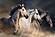 SF1376 Temp Glass w/Foil - 3 Horse (40x60) by Classy Art