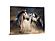 SF1376 Temp Glass w/Foil - 3 Horse (40x60) by Classy Art