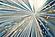 SF1381 Temp Glass w/Foil - Starbust Blue/Gold/White (40x60) by Classy Art