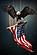 SF1395 Temp Glass w/Foil - Eagle Flag (40x60) by Classy Art