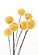 SF1417 Temp Glass w/Foil - Yellow Bulb 2 (40x60) by Classy Art