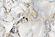 SF1584 Tempered Glass w/Foil - Granite (40x60) by Classy Art