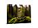 SF1602 Temp Glass w/Foil - Mushrooms (40x60) by Classy Art