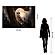 SF1612 Temp Glass w/Foil - Night Owl (40x60) by Classy Art