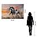 SF1626 Temp Glass w/Foil - Running Horse (40x60) by Classy Art