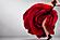 SF1642 Temp Glass w/Foil - Rosie Leg (40x60) by Classy Art