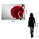 SF1642 Temp Glass w/Foil - Rosie Leg (40x60) by Classy Art
