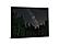 SF1650 Temp Glass w/Foil - Starry Forest (40x60) by Classy Art