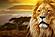 SF1656 Temp Glass w/Foil - Lion Safari (40x60) by Classy Art