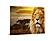 SF1656 Temp Glass w/Foil - Lion Safari (40x60) by Classy Art