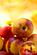 SF1680 Temp Glass w/Foil - Georgia Peach (60x40) by Classy Art