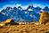 SF1706 Temp Glass w/Foil - Mountainous Barn (60x40) by Classy Art