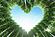 SF1758 Temp Glass w/Foil - For the Love of Trees (60x40) by Classy Art