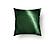 Envy Green Decorative Throw Pillow by SIS Covers