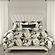 Golden Roar Futon Cover by SIS Covers