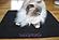 Savvy Natural Kitty Bed 15 Inch x 20 Inch by Savvy Rest