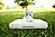 Savvy Natural Kitty Bed 15 Inch x 20 Inch by Savvy Rest