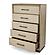 Rio Vista Woven 5 Drawer Chest - Muted Earth Tones and Clay by Lineage Collections