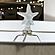 Aloha Elegant Starfish Table Lamp (Set of 2) - White by Lineage Collections