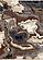 Samira Beige Brown Blue Acrylic Pour Rug by Kalora