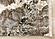 Serene Multi Distressed Marble Rug by Kalora