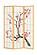 Cherry Blossom Shoji Screen (Room Divider) by Prestige