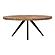 Parq Oval Dining Table by Moe's Home Collection