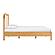 Grappa Natural Wood & Rattan Queen Bed by TOV Furniture