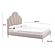 Bianca Blush Velvet Bed in Queen by TOV Furniture