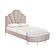 Bianca Blush Velvet Bed in Queen by TOV Furniture